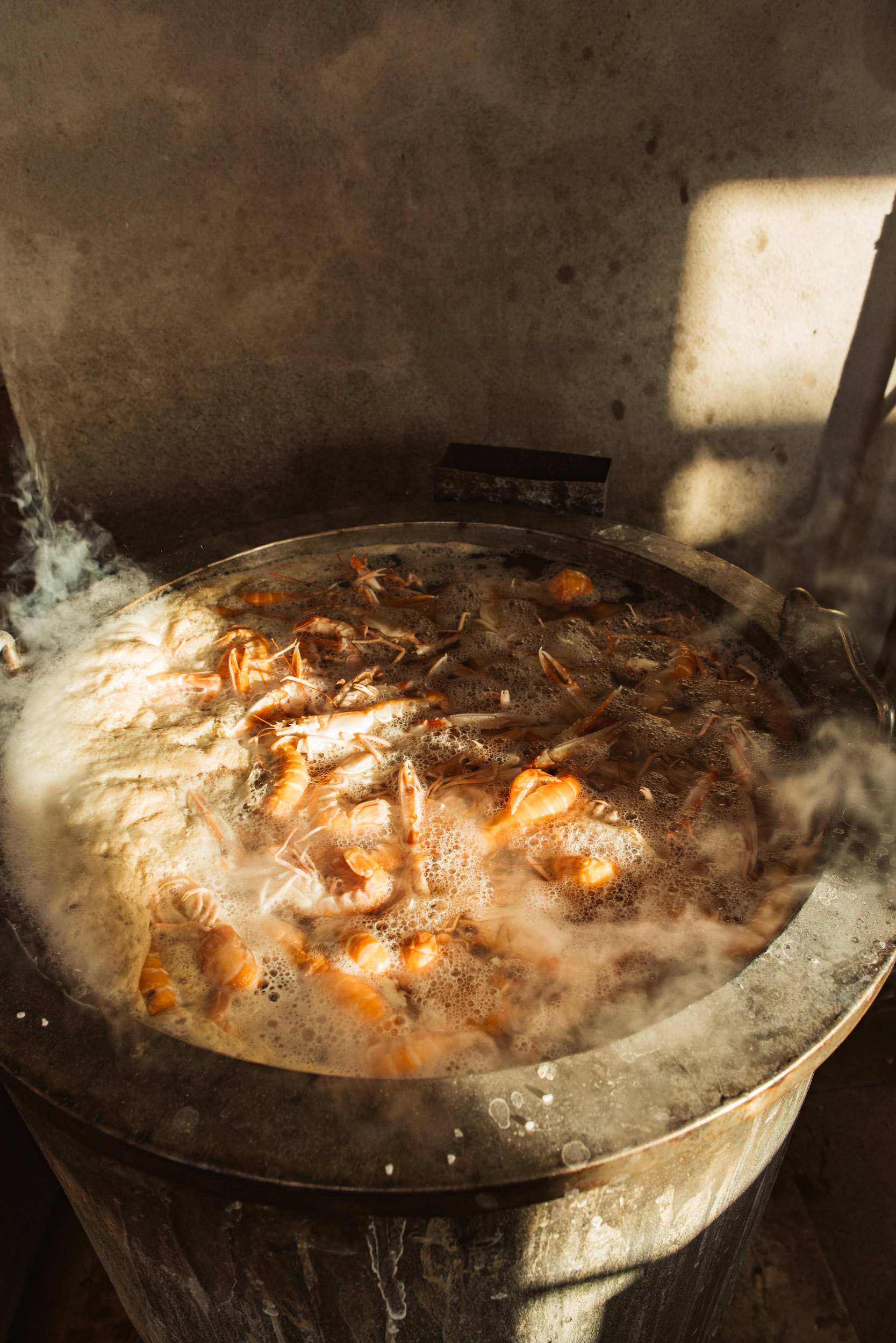 Nyfångade kräftor kokar i ett stort, runt kärl. Det ryker och är kvällsljus